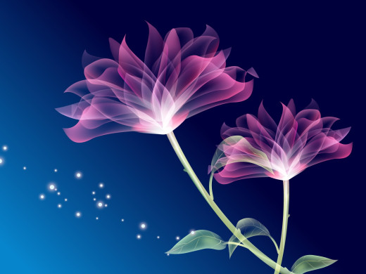 20021 (a): :1600x1200